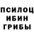 Псилоцибиновые грибы GOLDEN TEACHER Rabashi