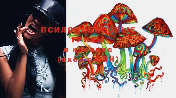 2c-b Абинск