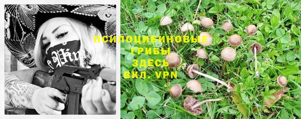 метадон Абаза